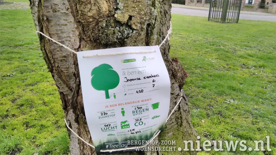20210319 vin hoo treetag 001