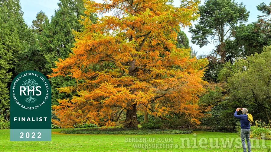2022 copyright arboretum kalmthout rhs pgoty 01