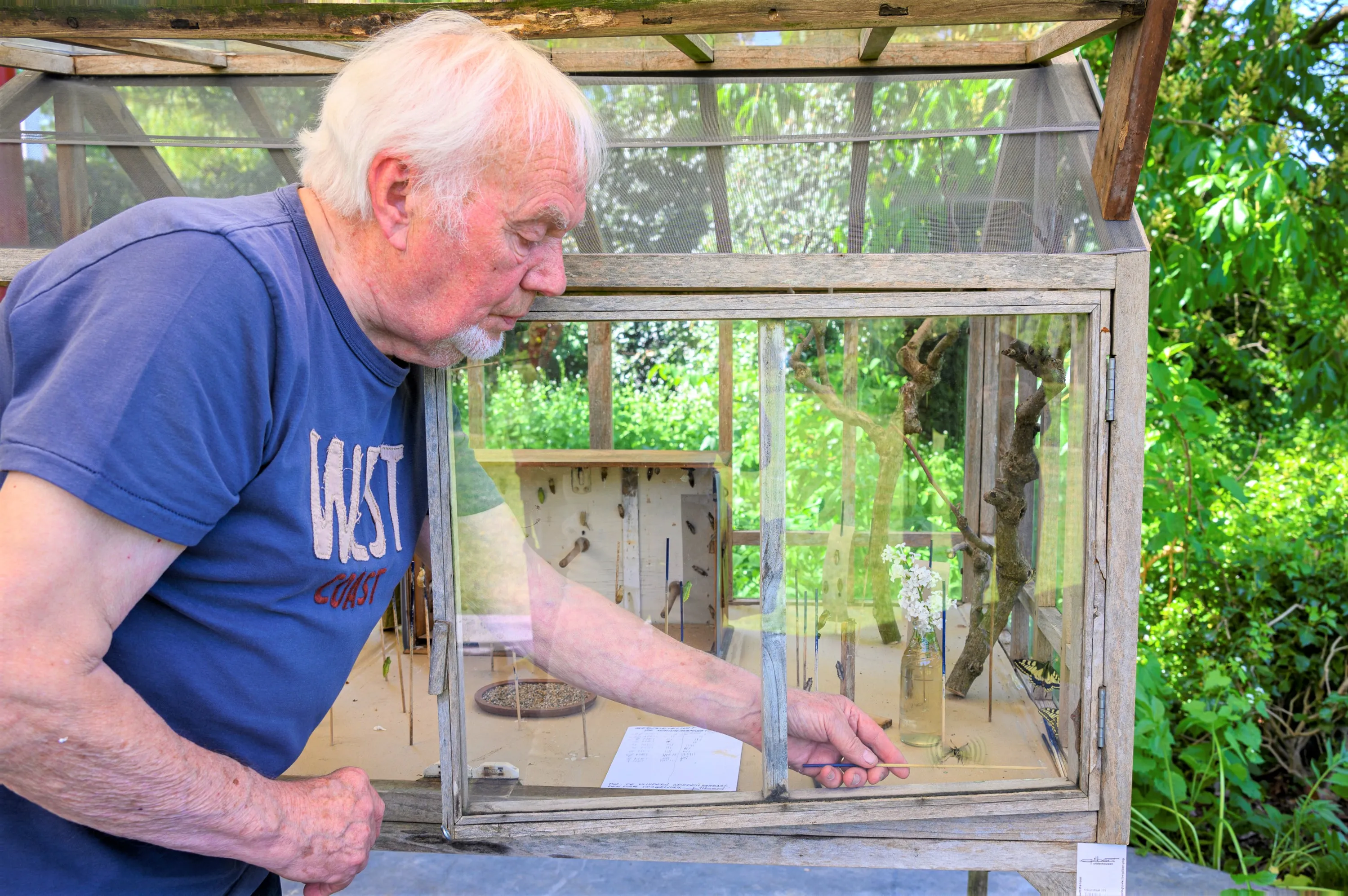 2022 vlinderpoppenkast gilbert uitdenhouwen arboretum kalmthout myriam luyckx 11