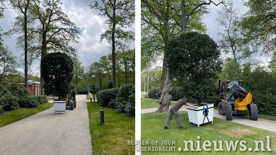 20220426 hoo mattemburgh 001