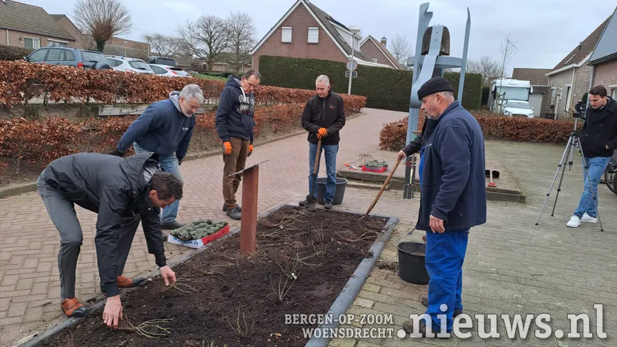 20230203 gem oss rozen 001