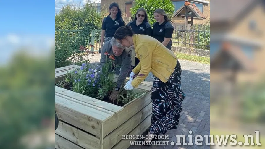 20230705 dp woe plantenbakjpg