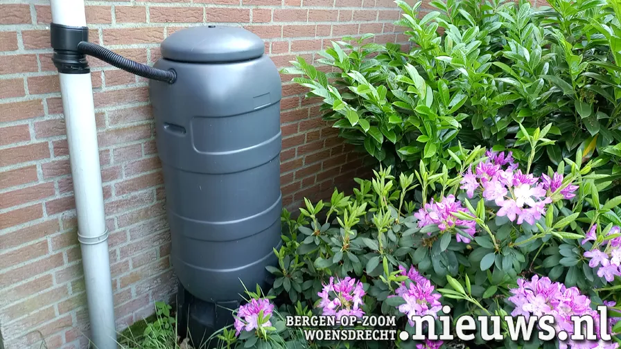 20240507 jkr hoo regenton