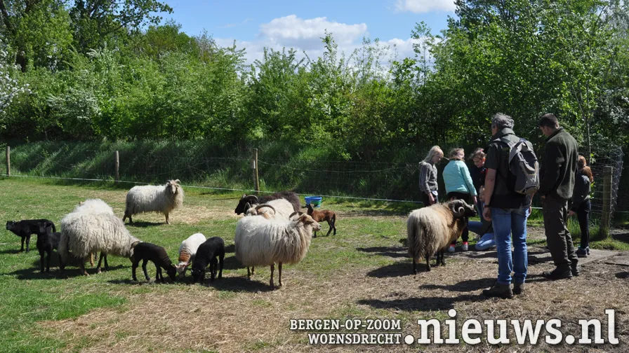 20240507 leo brab landsch 02