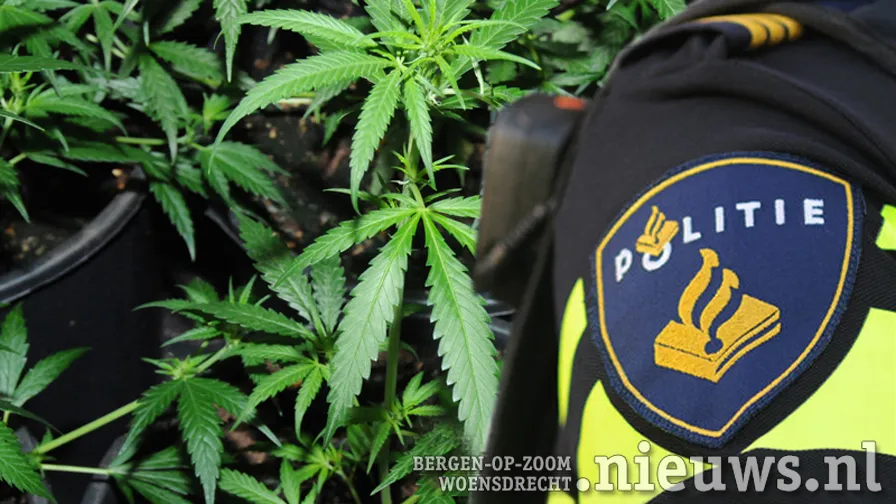 alg politie hennep 001
