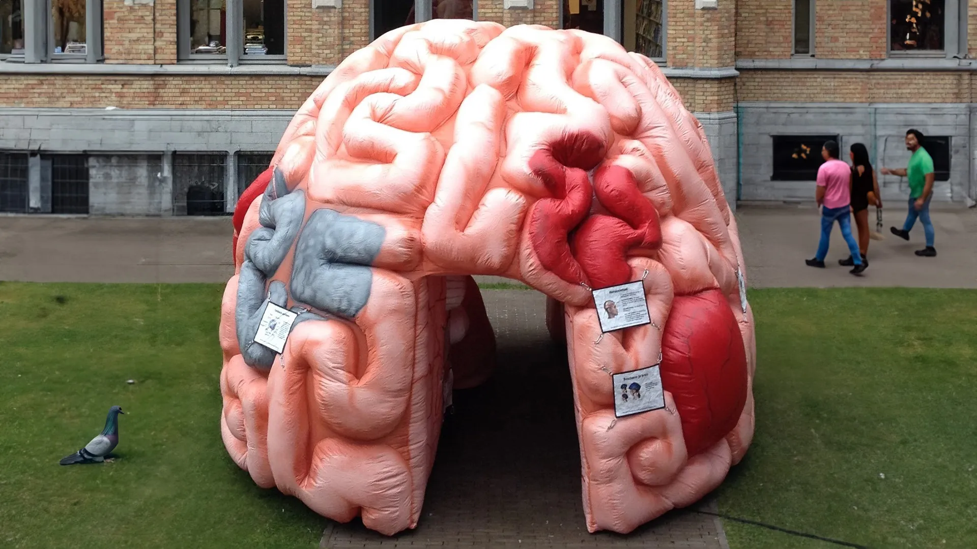 beeld megabrein in de bibliotheek in roosendaal breedbeeld