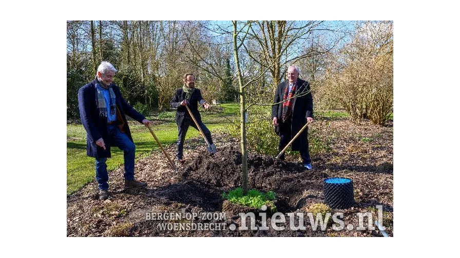bijenboom