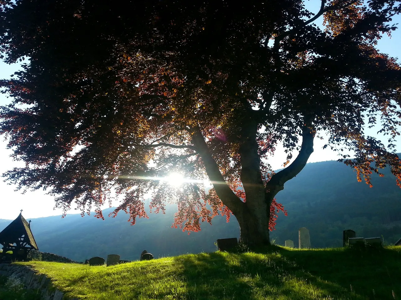 cemetery 1472149 1280