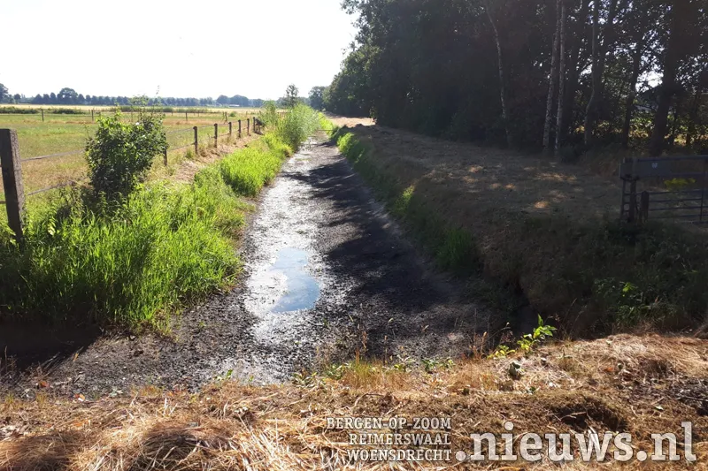 droogte stuwmoerse dreef in dongen 2 2