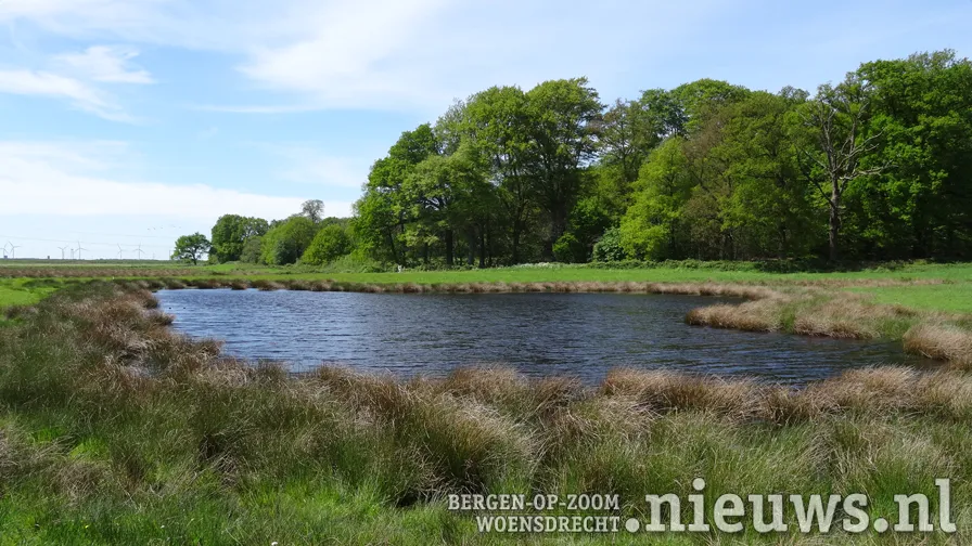 foto ad van loenhout