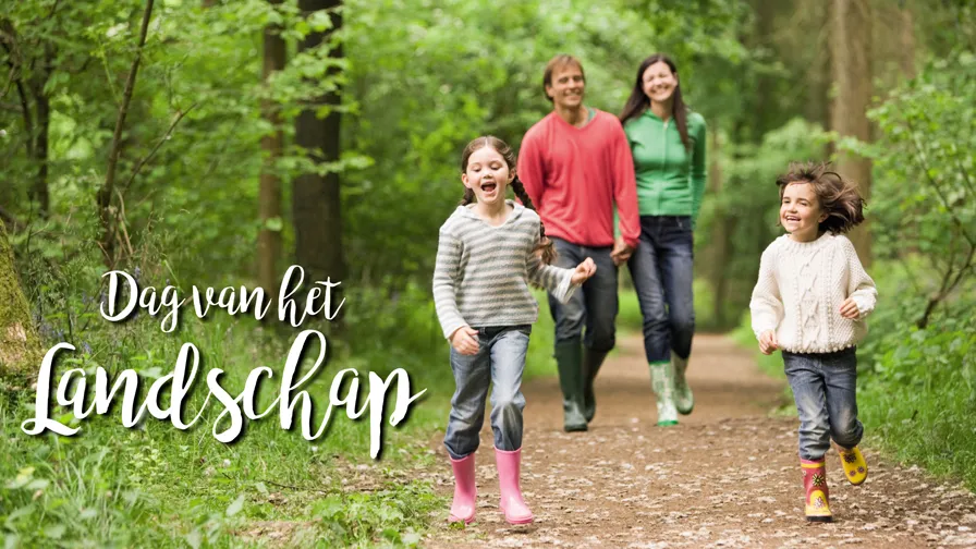 foto dag van het landschap