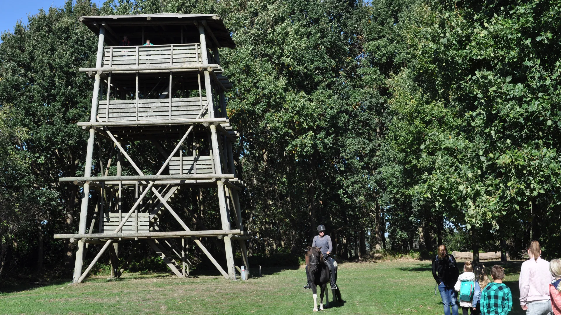 ijslander kraaijenberg