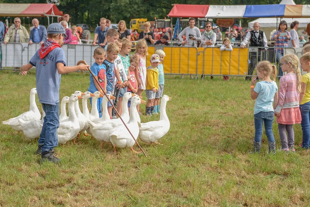 impressie wbd 2016 i