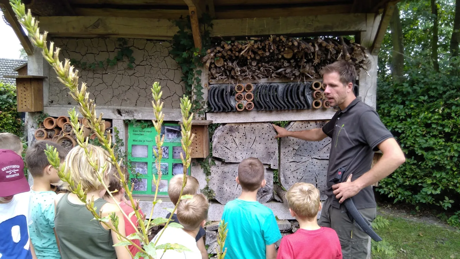 insectenhotel kraayenberg