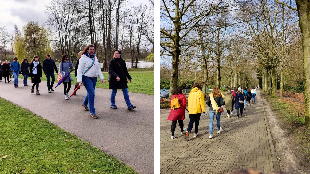 netwerkwandeling