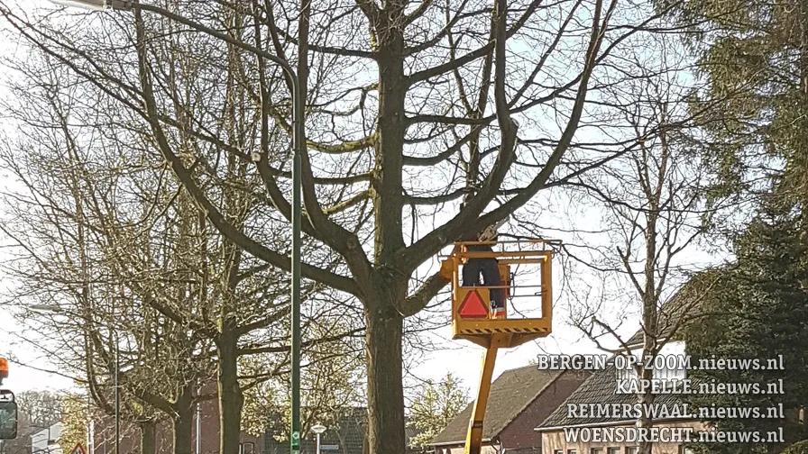 snoeiwerk huijbergen