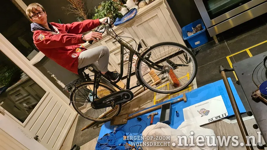 stamdaard halsteren opdracht