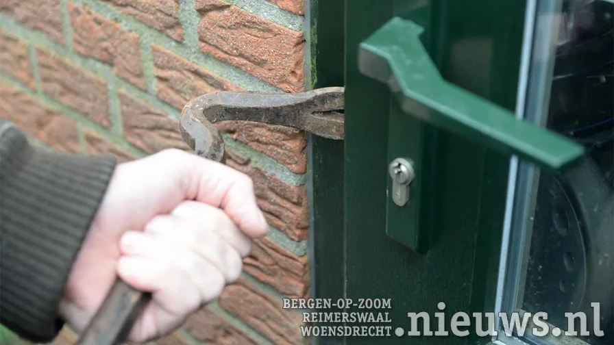 vin alg inbraak 002b