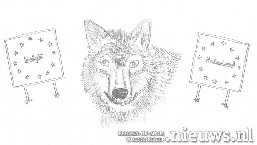 wolf nl be