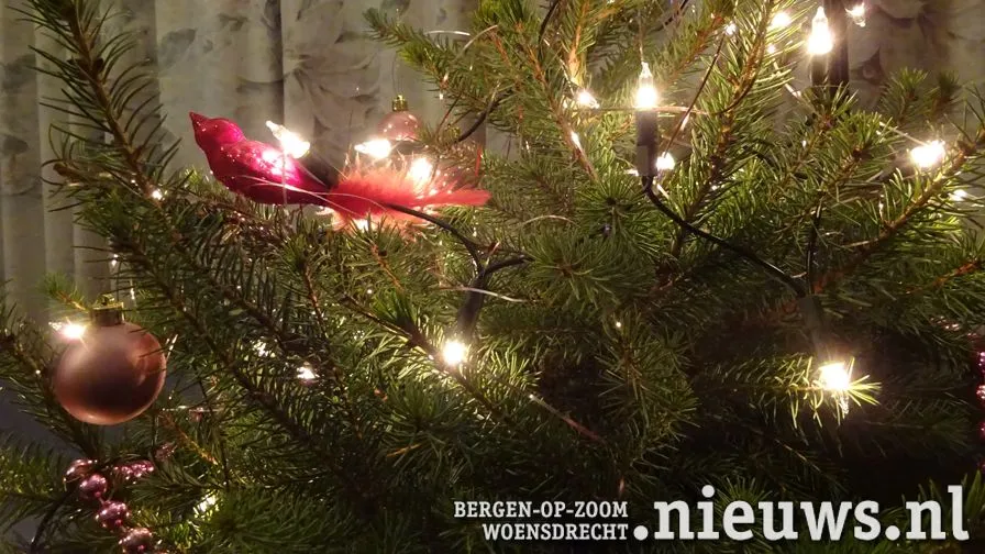 20211216 jkr alg kerstboom