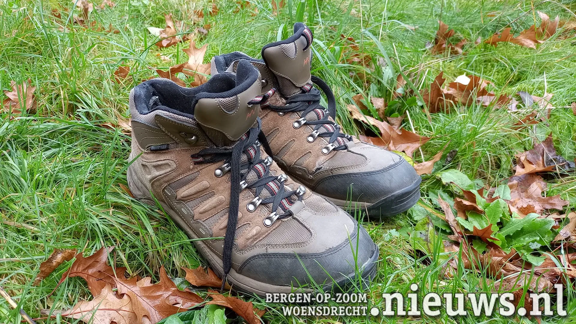 20241219 schoenen
