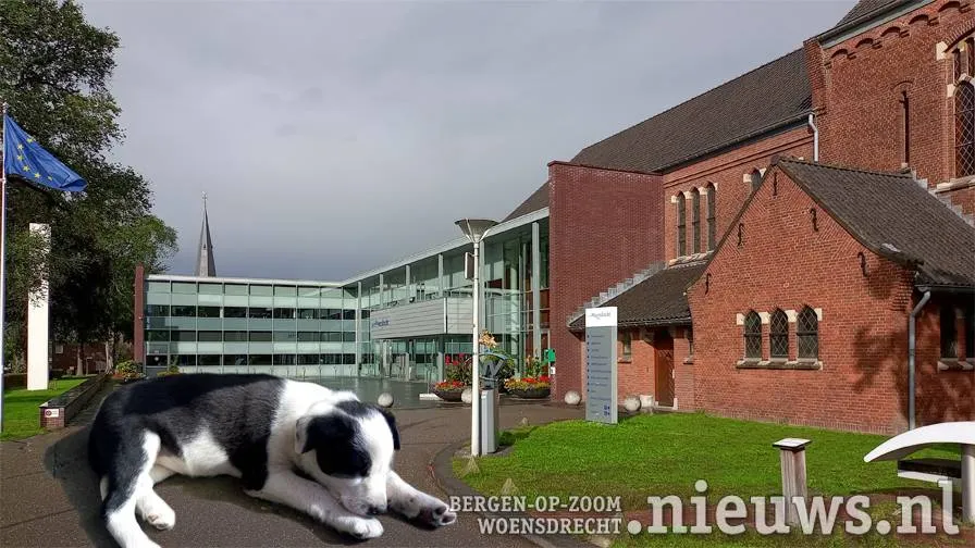 202250610 jkr hoo gemeentehuis hondenbelasting