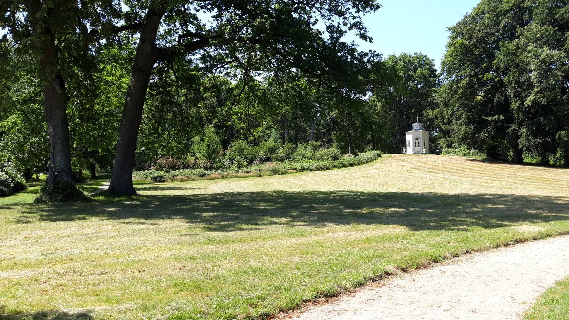 20250821 Foto Ad van Loenhout