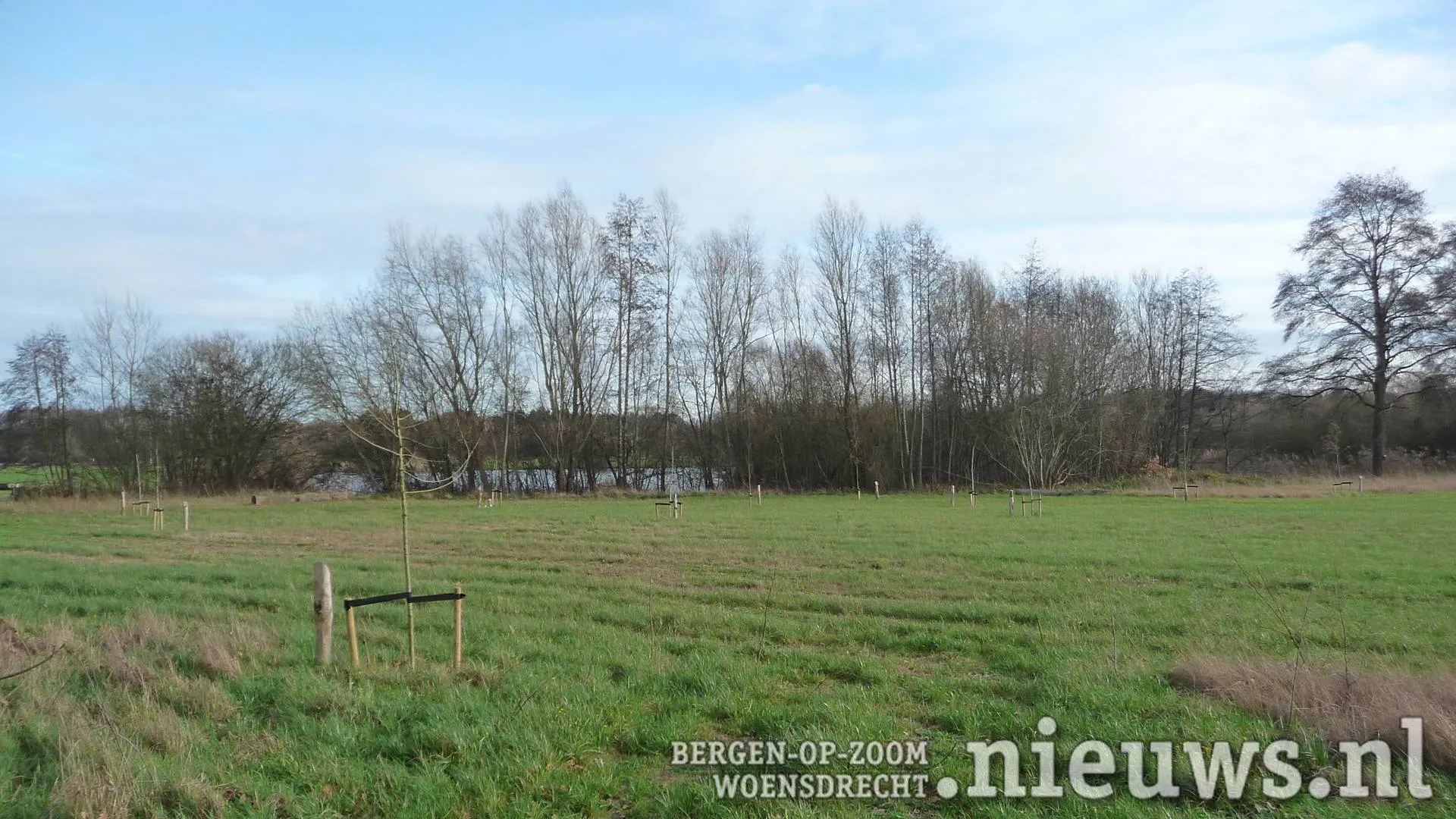 20251218_JKr_Hoo_Gedenkbos_001