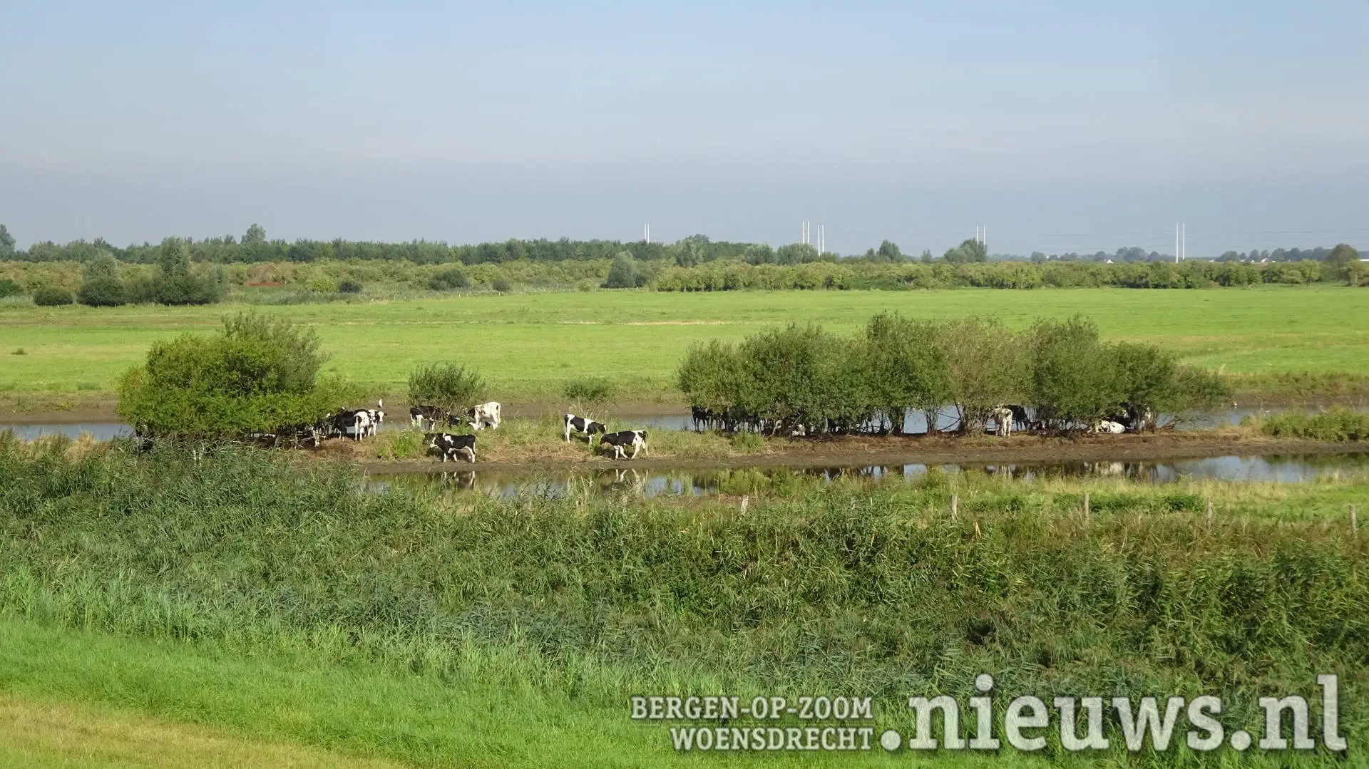 20200814_Polder_Rilland