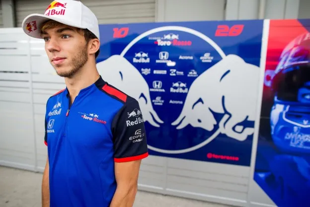gasly japanjpg