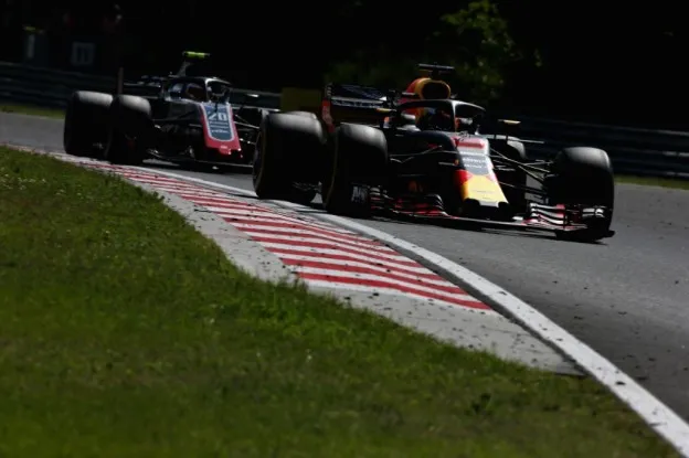 Magnussen Red Bulljpg