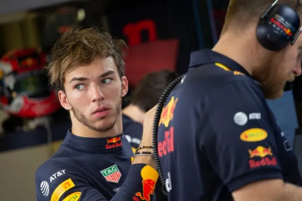 gasly red bulljpg