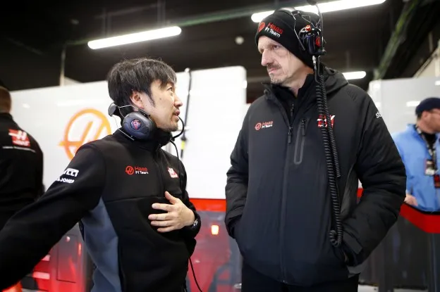 Haas Guenther Steinerjpg