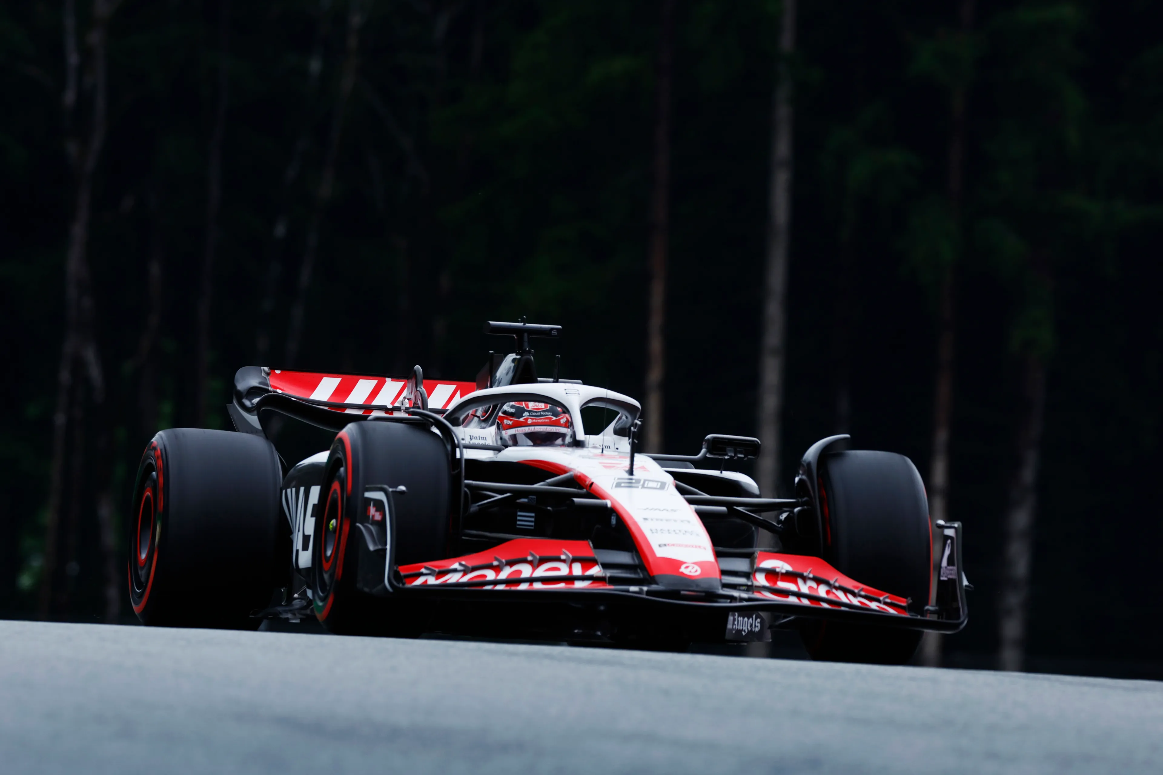 1019719419 lat 20230701 gp2309 094541 67a5252 595