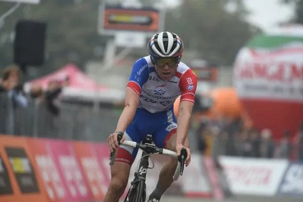 Sirotti David Gaudujpg