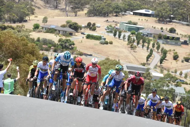 Sirotti Tour Down Under peloton algemeenjpg