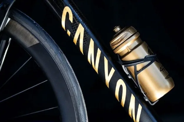 Gouden fiets 4Goldjpg