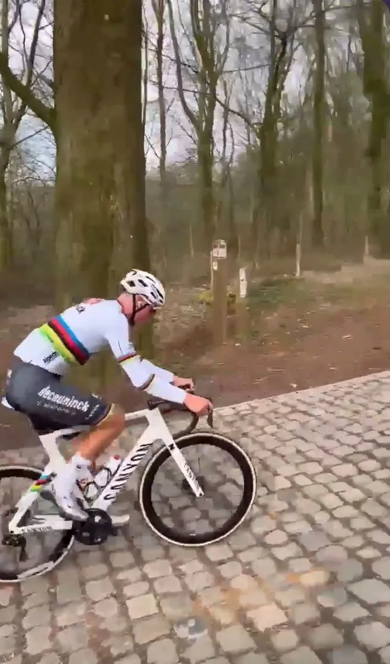 mathieu van der poel