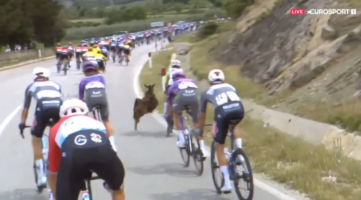 giro