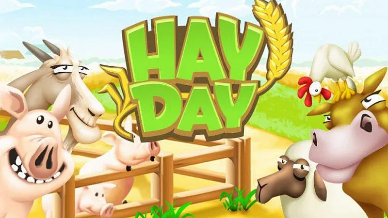 hay day 805x527f1650981745