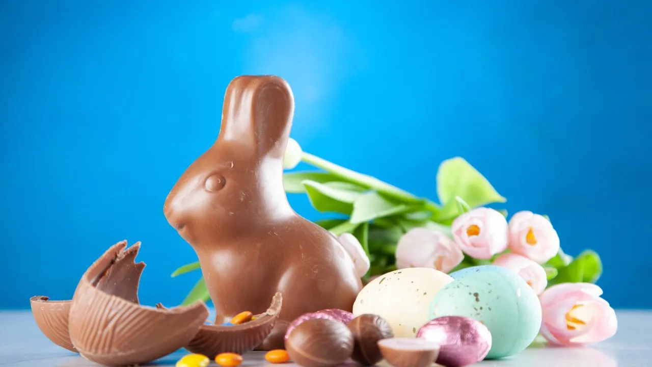 rabbit chocolate 2072158f1586360985