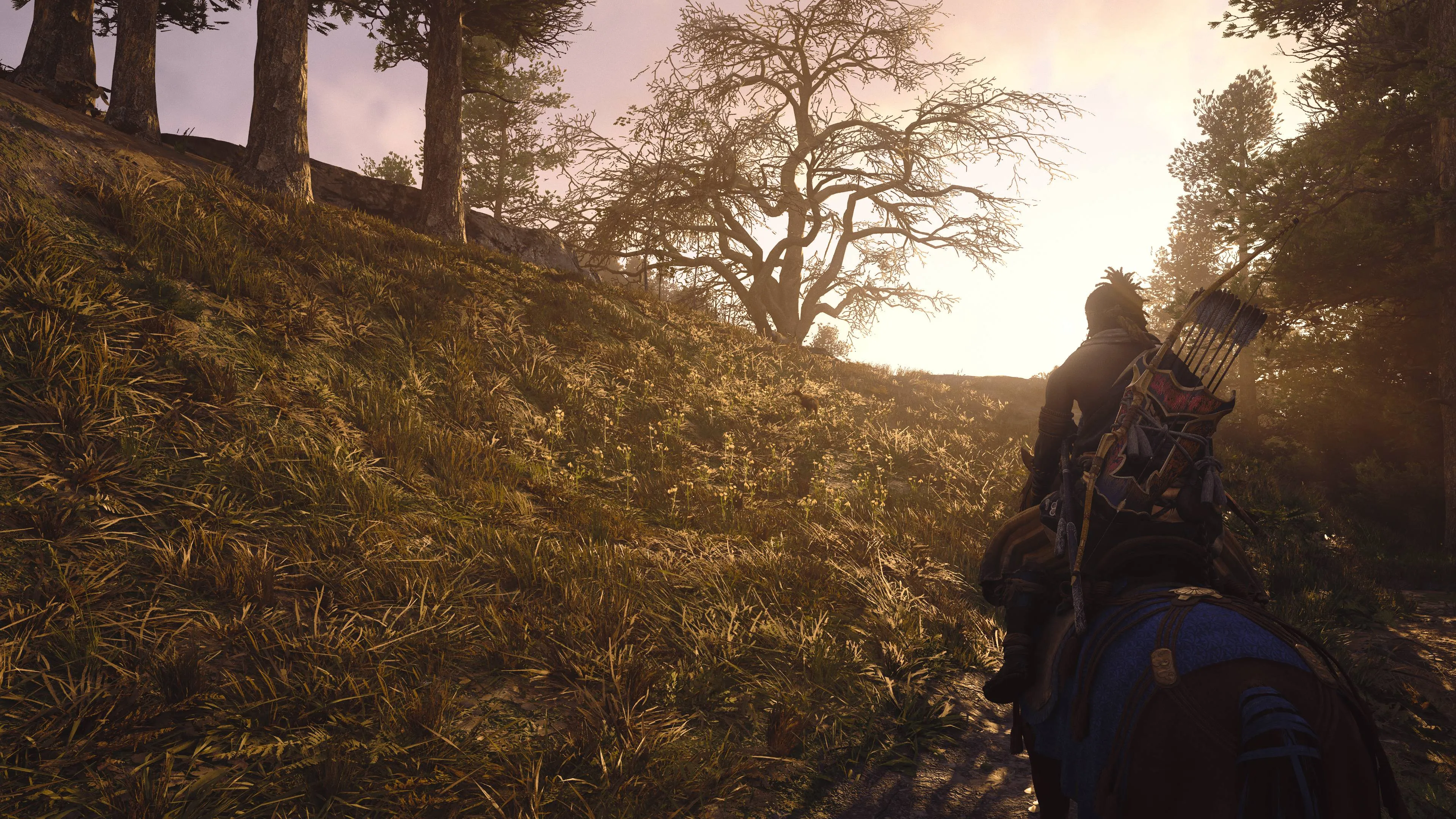 assassins creed shadows review ac shadows 6jpg