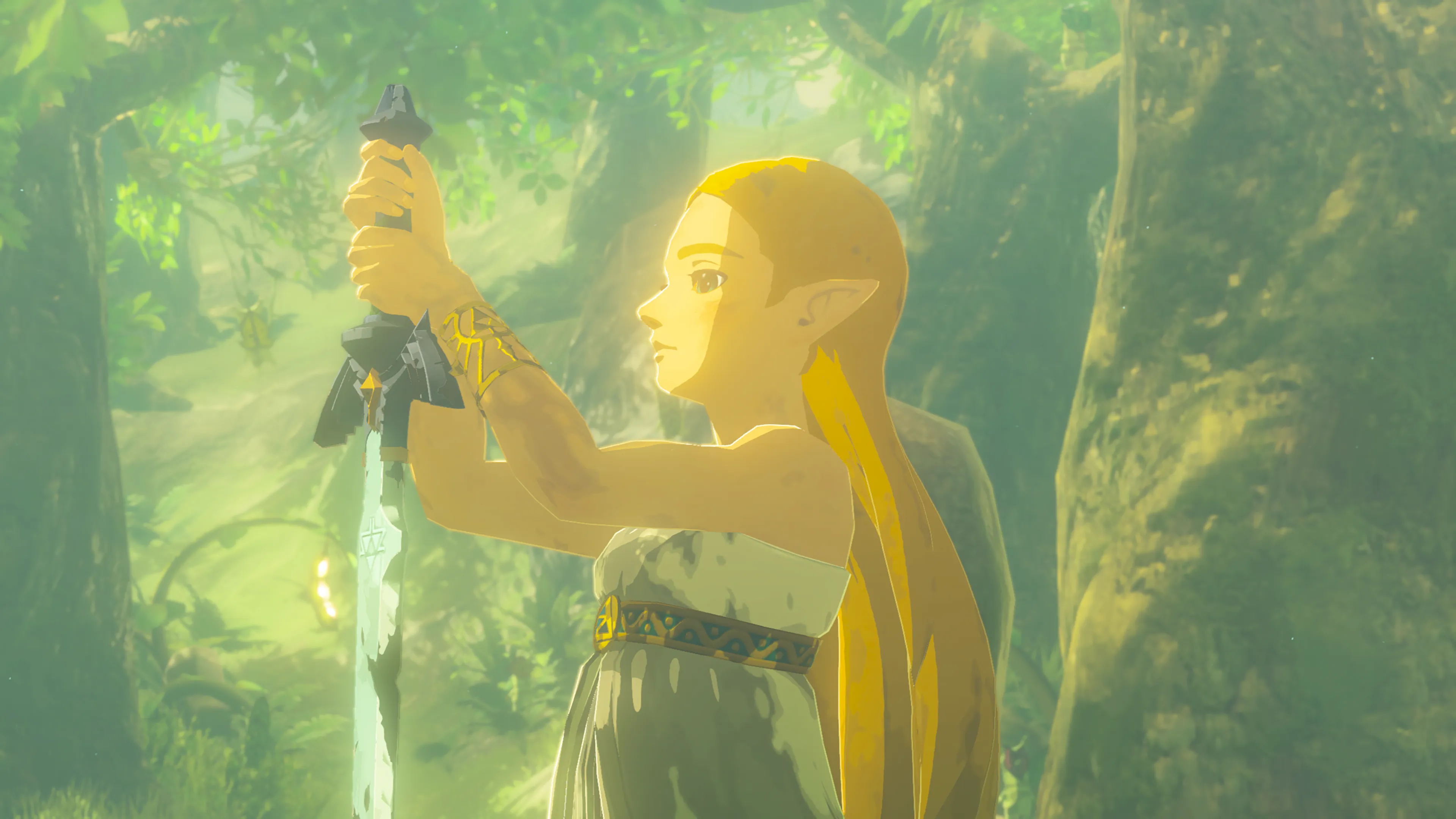 breath of the wild switch 2 edition