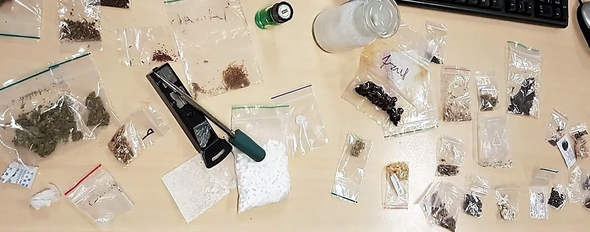 21056224 1934865896782720 5276462363811644409 o