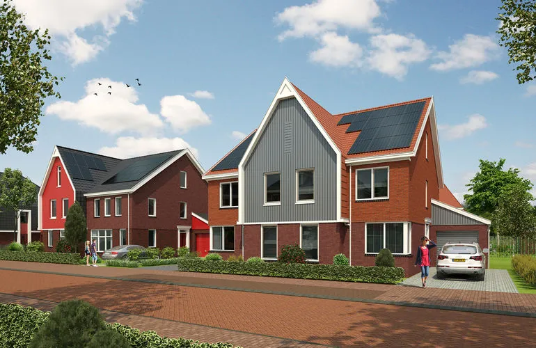 770x500 luit cello sitar 239b