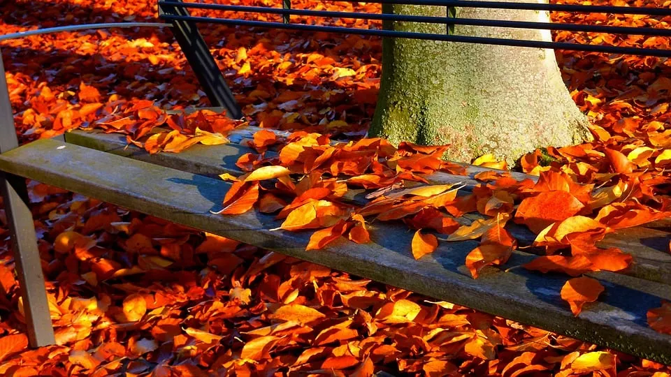 autumn 2756123 960 720