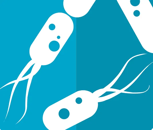 bacterie 2