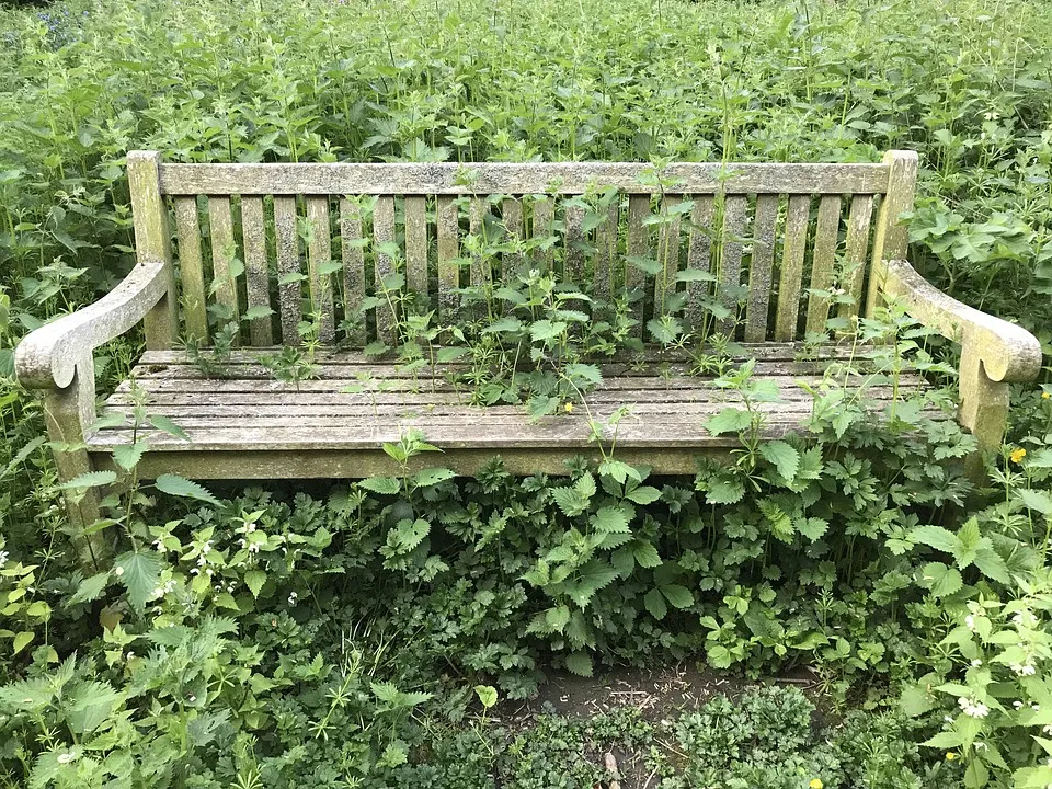 bench 2358813 960 720