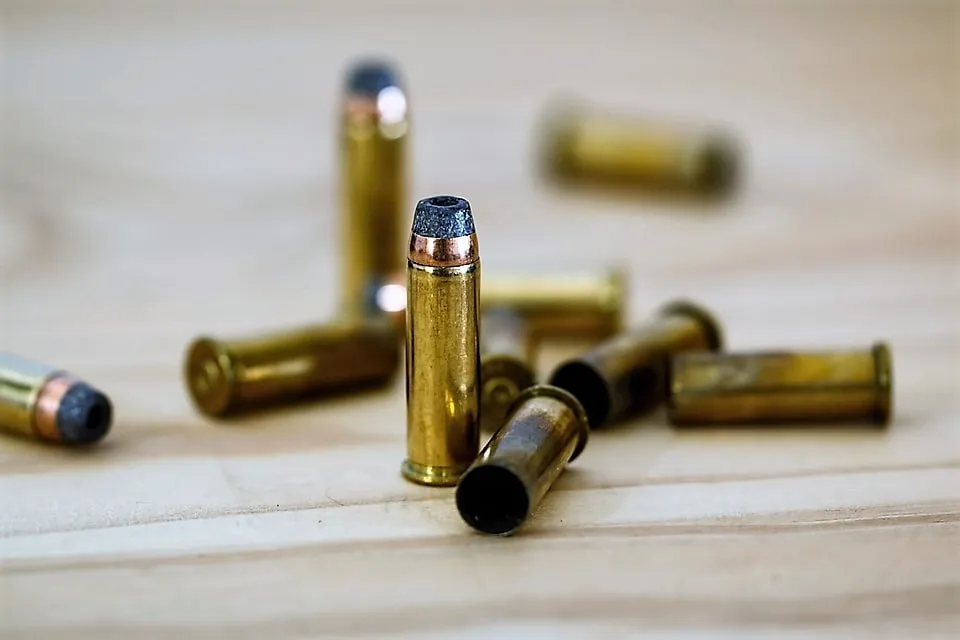 bullet 408636 960 720