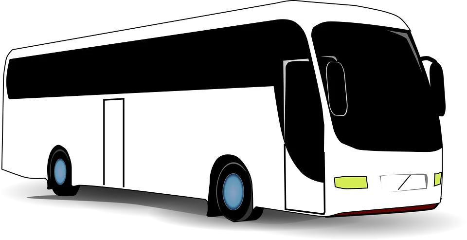 bus